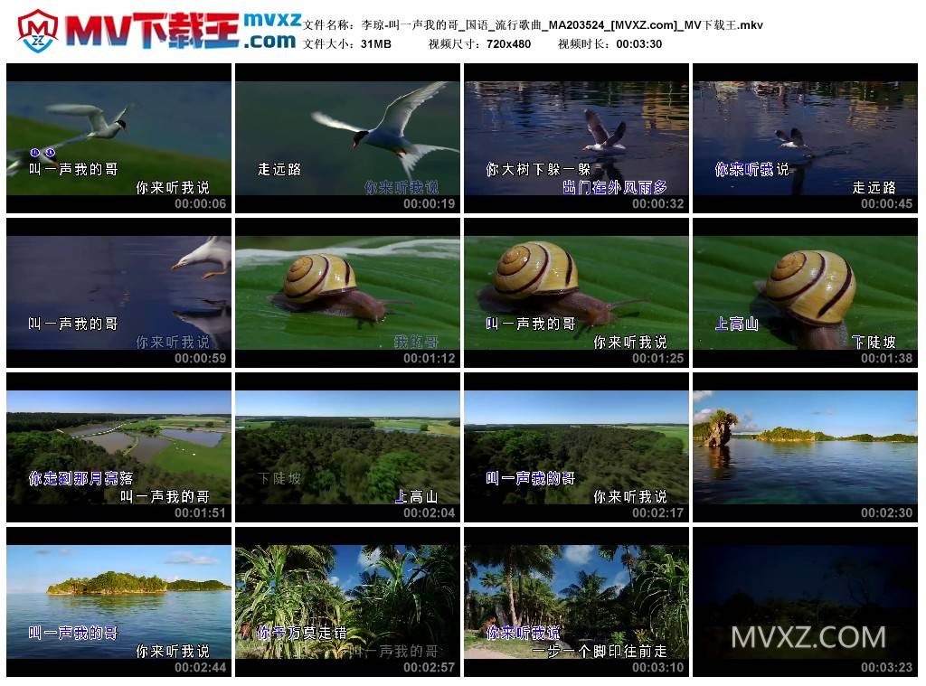 李琼-叫一声我的哥_国语_流行歌曲_MA203524